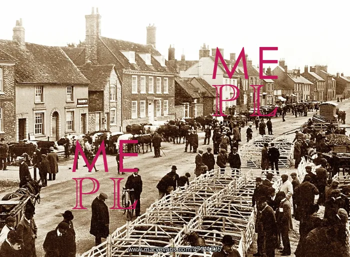  : Thame cattle market, early 1900s