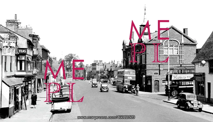  : Thame, High Street c1955