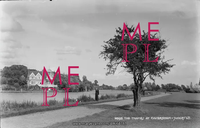 : The Thames at Caversham : The Thames at Caversham