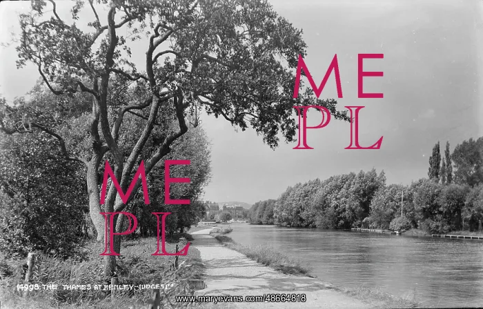 : The Thames at Henley : The Thames at Henley