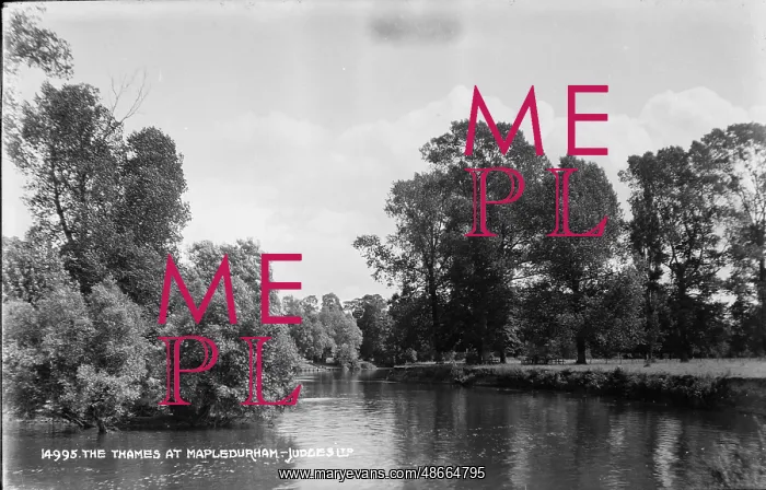 : The Thames at Mapledurham : The Thames at Mapledurham