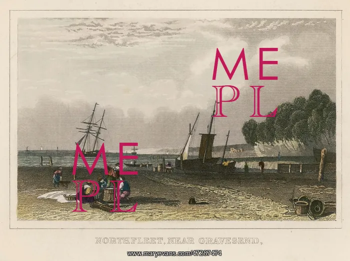 : THAMES / NORTHFLEET / KENT : THAMES / NORTHFLEET / KENT