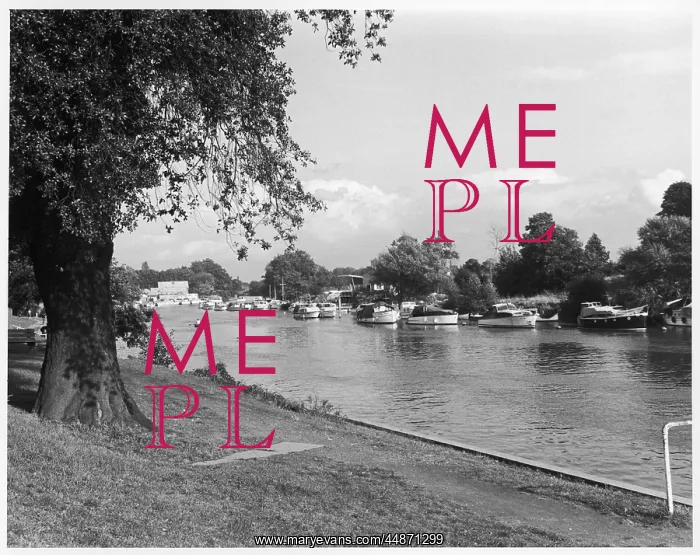  : THAMES AT SUNBURY