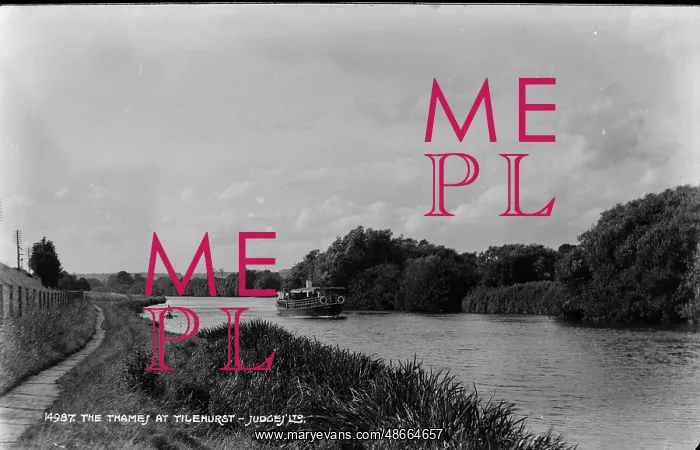 : The Thames at Tilehurst : The Thames at Tilehurst