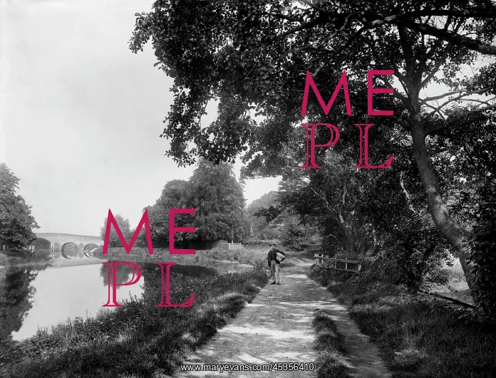 : Thames towpath : Thames towpath