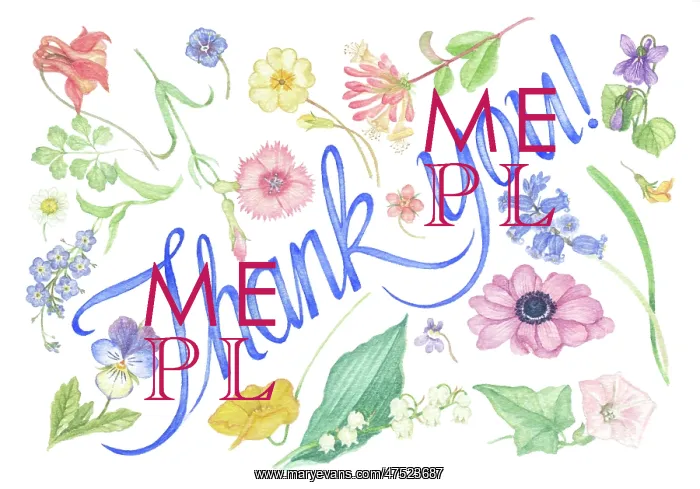 : Thank You with flowers : Thank You with flowers