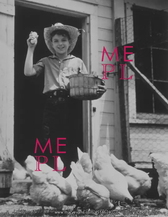 : Thanks for the Eggs : Thanks for the Eggs