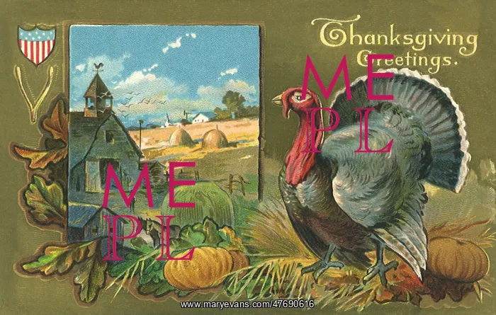 : Thanksgiving : Thanksgiving