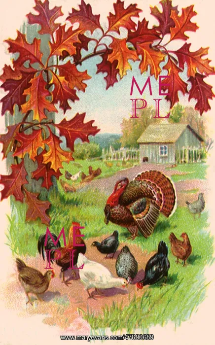 : Thanksgiving : Thanksgiving