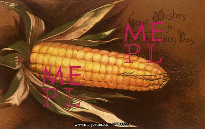 : Thanksgiving Corn : Thanksgiving Corn