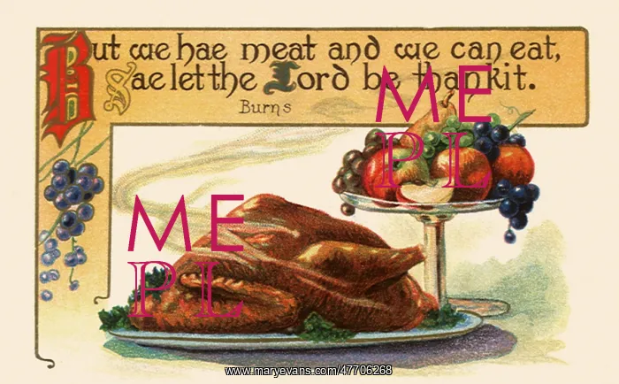  : Thanksgiving Dinner