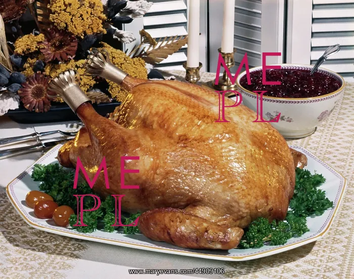 : Thanksgiving Turkey : Thanksgiving Turkey