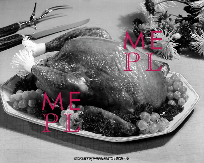 : THANKSGIVING TURKEY DINNER : THANKSGIVING TURKEY DINNER