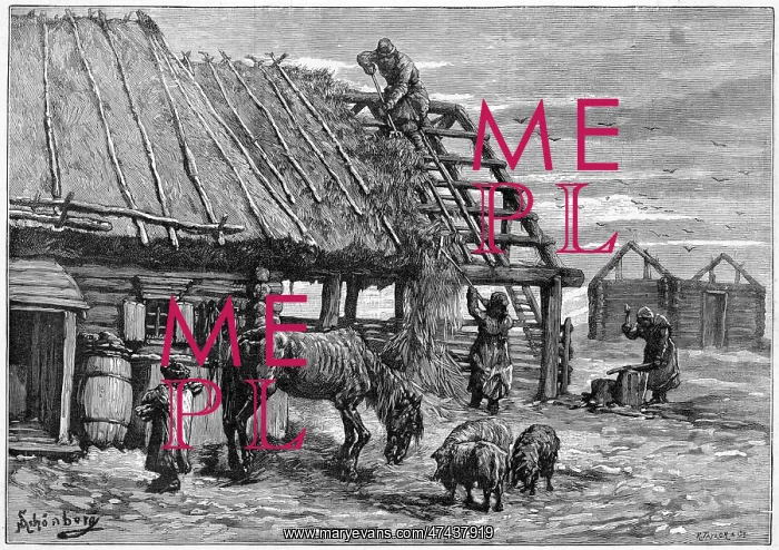 : THATCH FOR ANIMALS : THATCH FOR ANIMALS