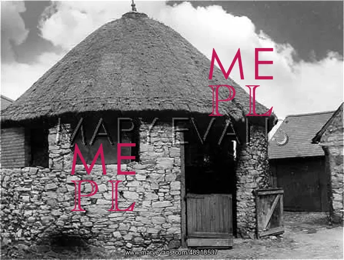 : THATCHED COCKPIT : THATCHED COCKPIT