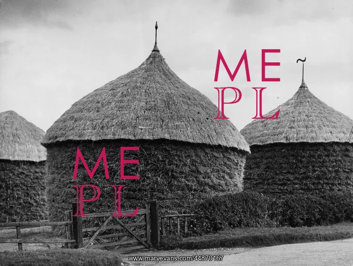 : THATCHED CORN RICKS : THATCHED CORN RICKS