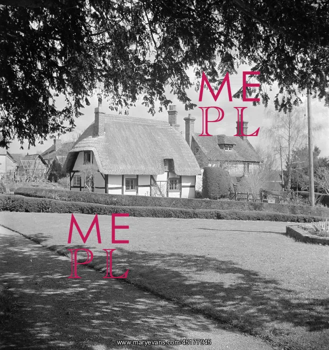 : Thatched Cottage : Thatched Cottage