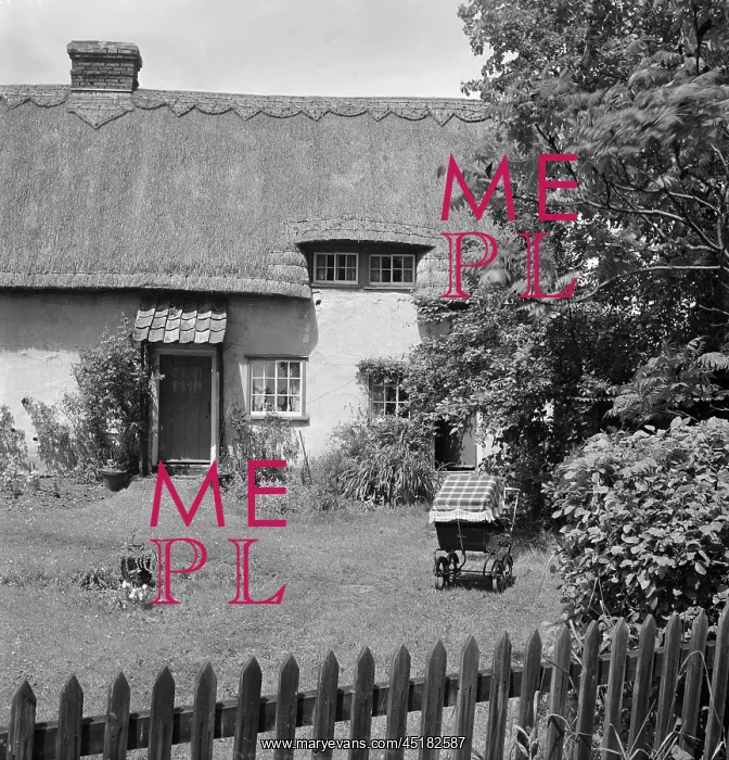 : Thatched Cottage : Thatched Cottage
