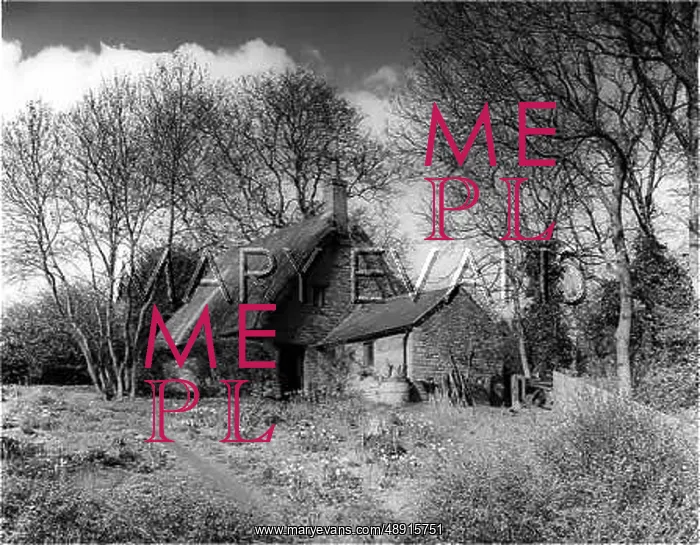 : THATCHED COTTAGE : THATCHED COTTAGE