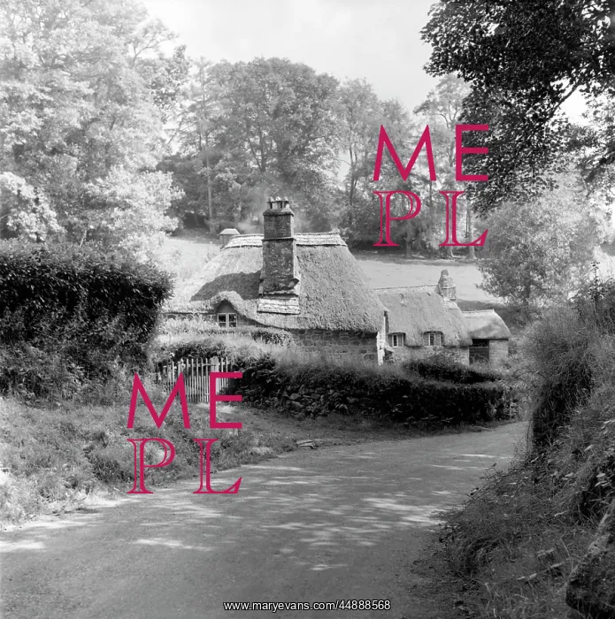 : Thatched cottage, Devon : Thatched cottage, Devon