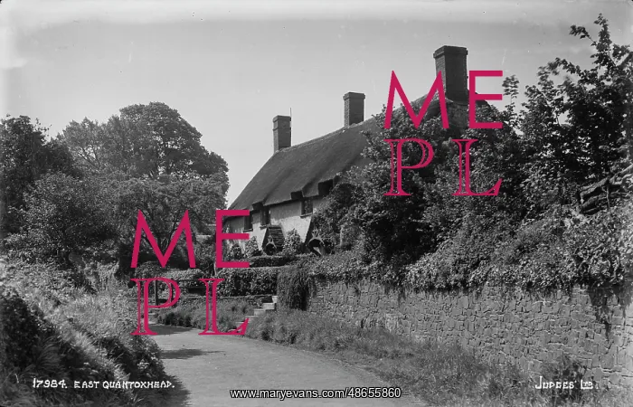 : Thatched Cottage in East Quantoxhead : Thatched Cottage in East Quantoxhead