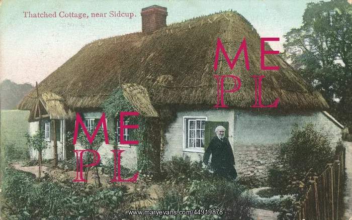 : Thatched Cottage, near Sidcup : Thatched Cottage, near Sidcup