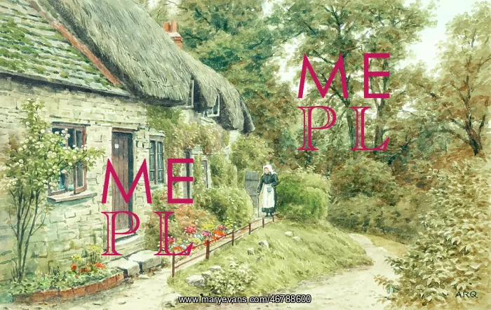 : Thatched cottage at Studland, Dorset : Thatched cottage at Studland, Dorset