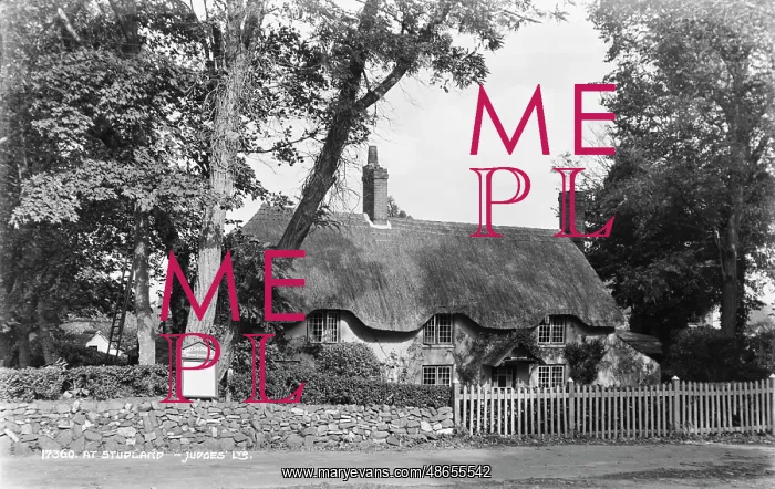 : Thatched Cottage at Stupland : Thatched Cottage at Stupland