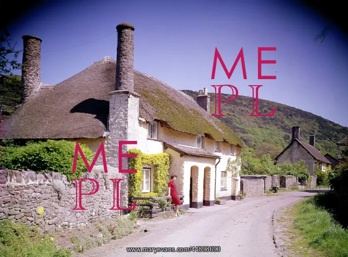 : Thatched cottages at Bossington, Somerset : Thatched cottages at Bossington, Somerset