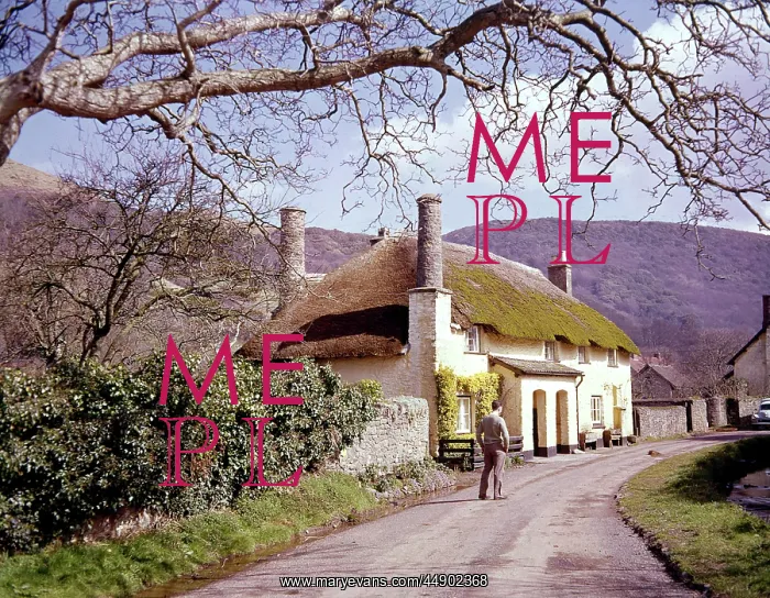 : Thatched cottages at Bossington, Somerset : Thatched cottages at Bossington, Somerset