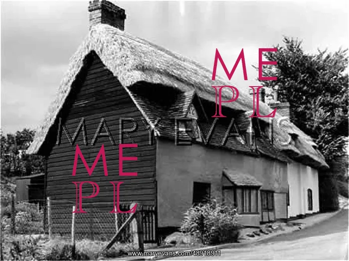 : THATCHED COTTAGES, KENT : THATCHED COTTAGES, KENT