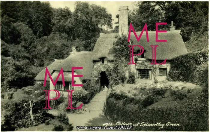 : Thatched Cottages, Selworthy, Somerset : Thatched Cottages, Selworthy, Somerset