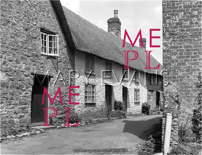 : THATCHED DORSET COTTAGES : THATCHED DORSET COTTAGES