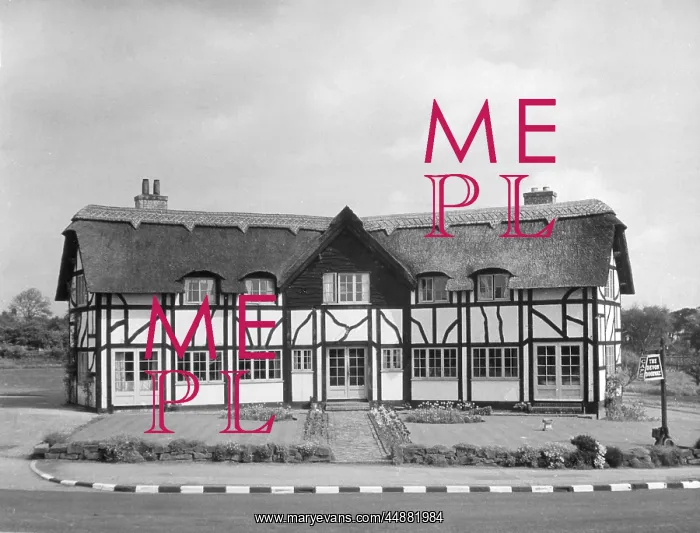 : THATCHED EATING HOUSE : THATCHED EATING HOUSE