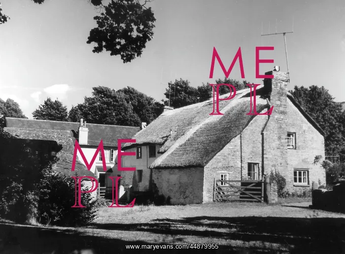 : THATCHED FARMHOUSE : THATCHED FARMHOUSE
