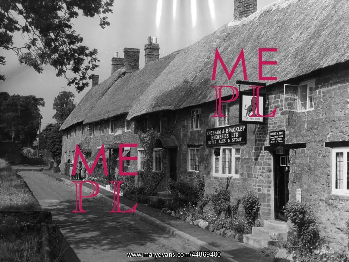 : THATCHED PUB & COTTAGES : THATCHED PUB & COTTAGES