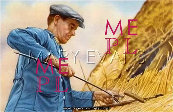  : THATCHER OF CAMPINE