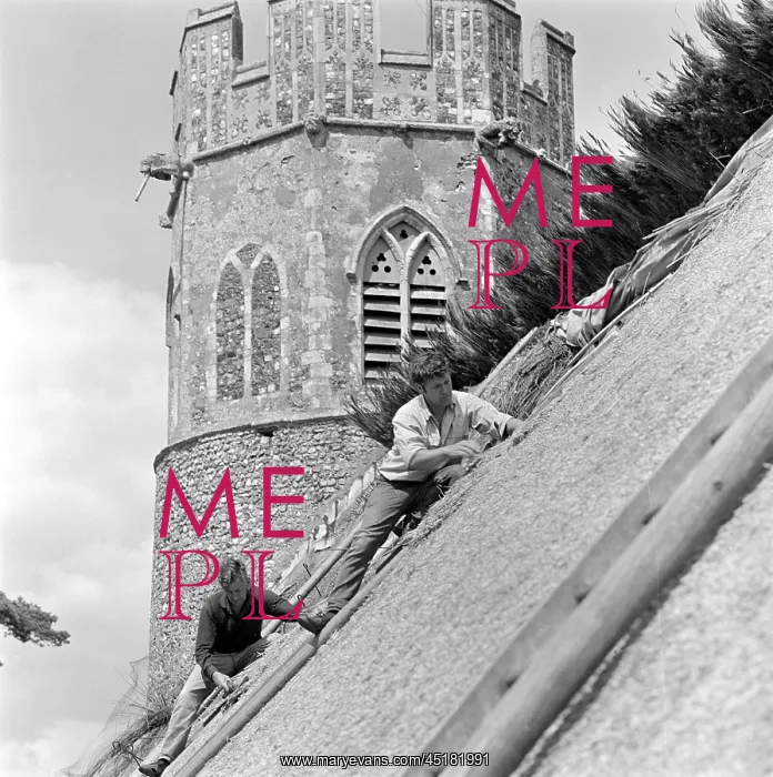 : Thatcher Thatching : Thatcher Thatching