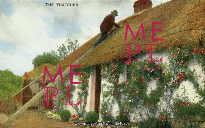  : Thatcher at work, Ireland