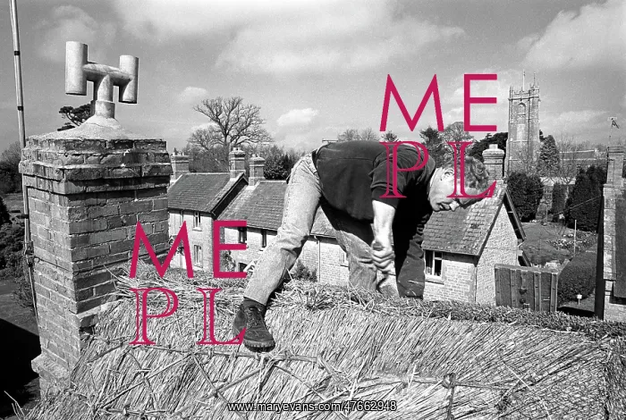 : Thatcher working on Somerset cottage -1 : Thatcher working on Somerset cottage -1