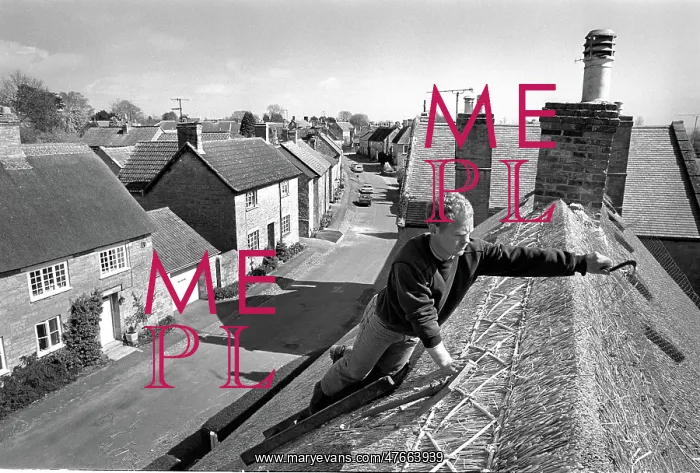 : Thatcher working on Somerset cottage -2 : Thatcher working on Somerset cottage -2