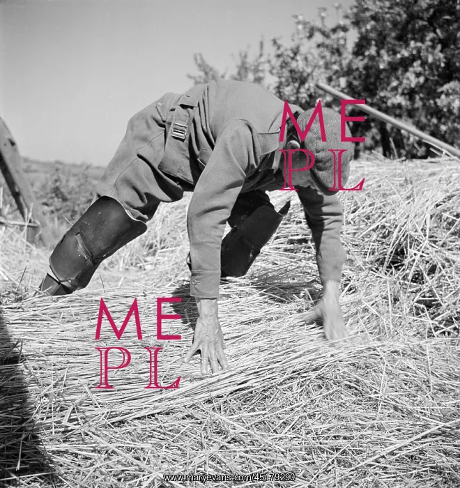 : Thatching. A thatcher carrying a bundle of straw or reeds : Thatching. A thatcher carrying a bundle of straw or reeds