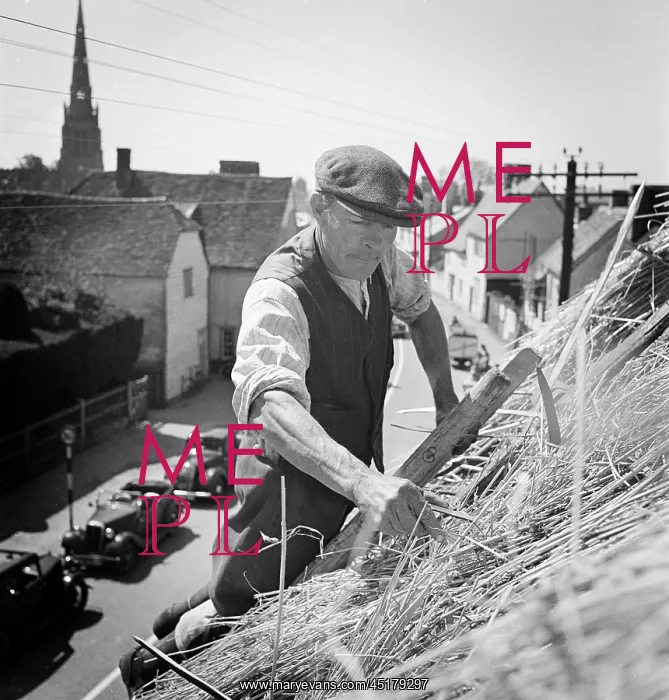 : Thatching. A thatcher working on the roof of 57 Newbiggen Street : Thatching. A thatcher working on the roof of 57 Newbiggen Street
