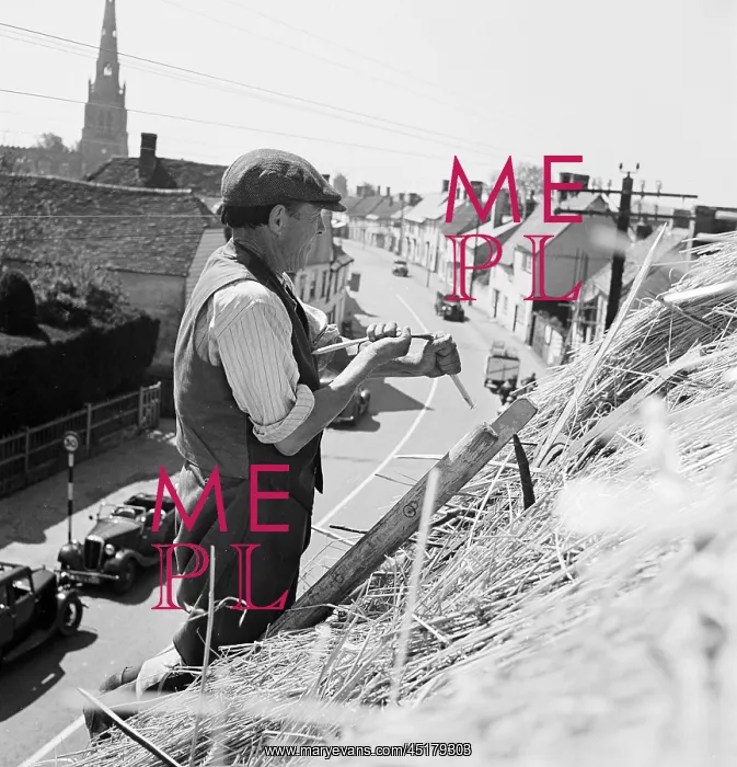 : Thatching. A thatcher working on the roof of 57 Newbiggen Street : Thatching. A thatcher working on the roof of 57 Newbiggen Street