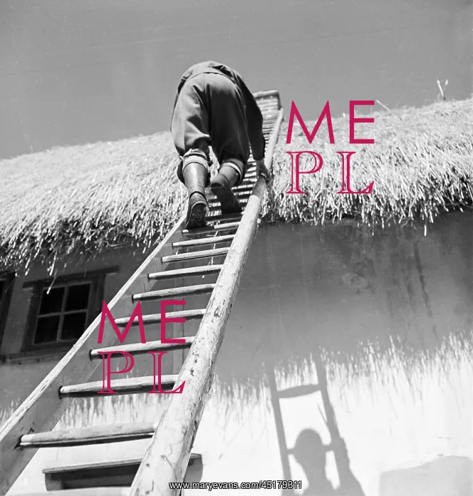: Thatching. A thatcher climbing a ladder up to the roof of 57 Newbiggen Street : Thatching. A thatcher climbing a ladder up to the roof of 57 Newbiggen Street