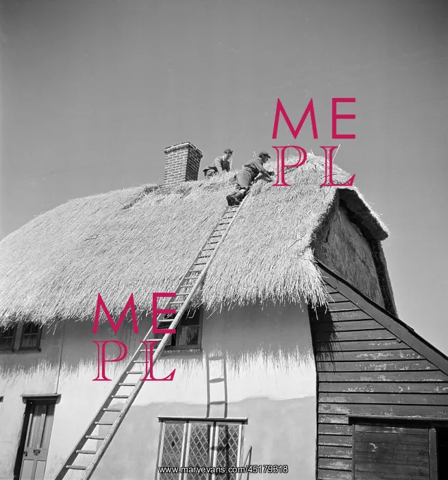 : Thatching. View of the front elevation of 57 Newbiggen Street : Thatching. View of the front elevation of 57 Newbiggen Street