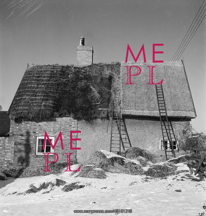 : Thatching. An unidentified cottage in Buckinghamshire, with a part brick : Thatching. An unidentified cottage in Buckinghamshire, with a part brick