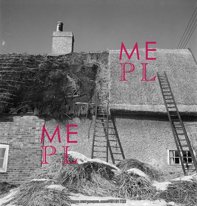 : Thatching. An unidentified cottage in Buckinghamshire, with a part brick : Thatching. An unidentified cottage in Buckinghamshire, with a part brick