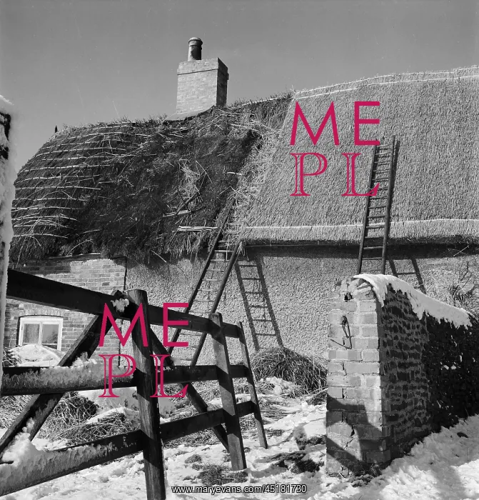 : Thatching. A view through a gate and stone wall towards an unidentified : Thatching. A view through a gate and stone wall towards an unidentified