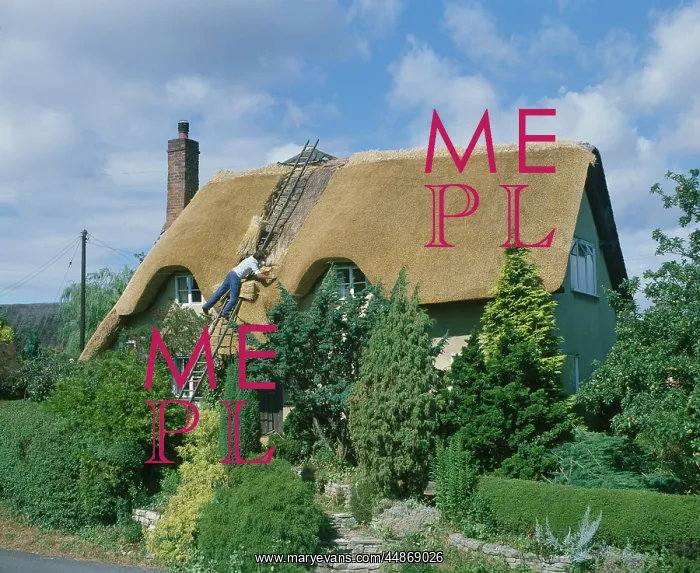 : THATCHING A COTTAGE : THATCHING A COTTAGE